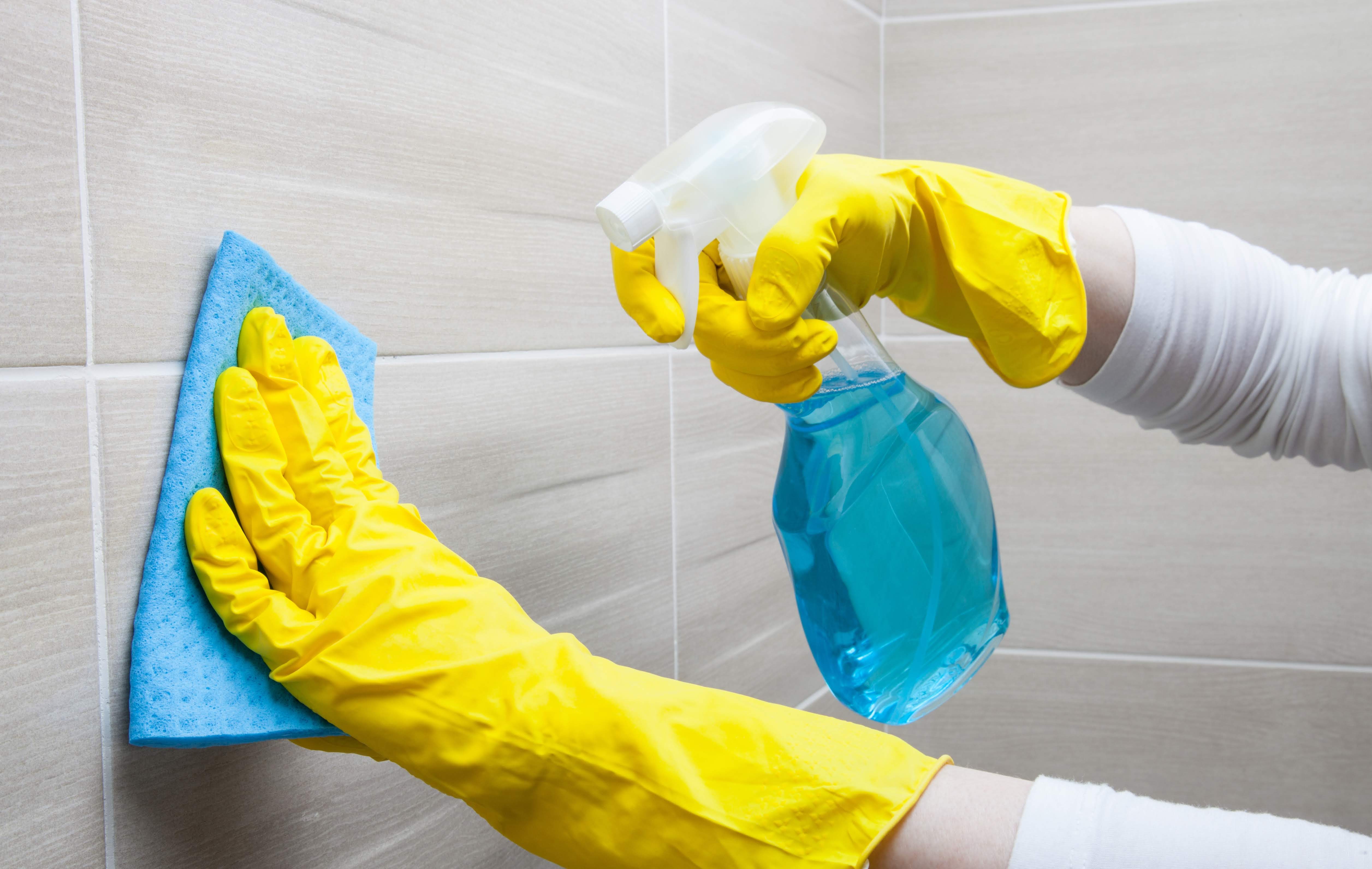Little Lady Cleaning Services LLC: Service Image-1 Little Lady Cleaning Services LLC: Service Image-1