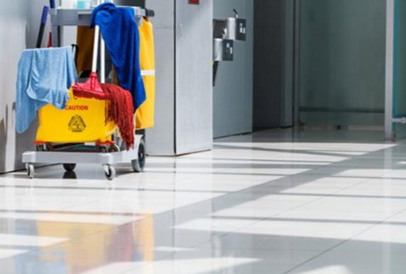 Little Lady Cleaning Services LLC: Service Image-8 Little Lady Cleaning Services LLC: Service Image-8